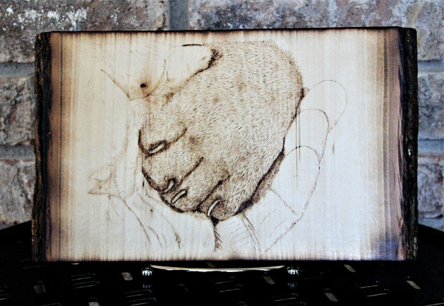 Pyrography (wood burning) moth : r/handmade